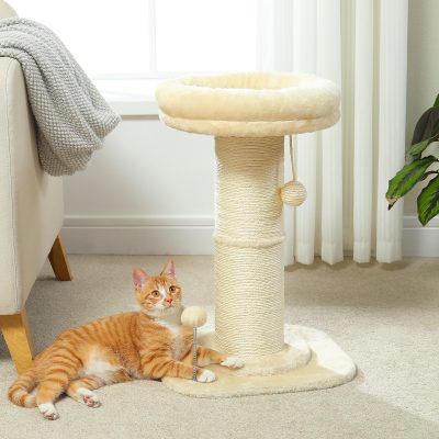 Feline lounging beside a cream-colored cat tree in a well-lit living room with neutral decor and houseplants.