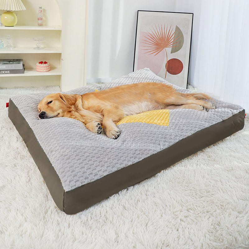 Comfortable golden retriever resting on a memory foam pet bed, perfect for dogs' orthopedic comfort and relaxation at Monalisa Medical Store.