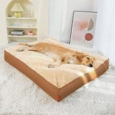 Comfortable dog bed on a plush white rug in a modern, airy room with minimalist decor, perfect for pet relaxation.