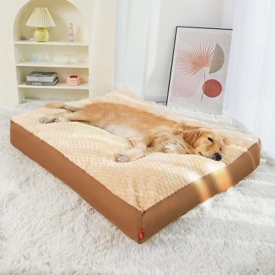 Comfortable dog bed on a plush white rug in a modern, airy room with minimalist decor, perfect for pet relaxation.