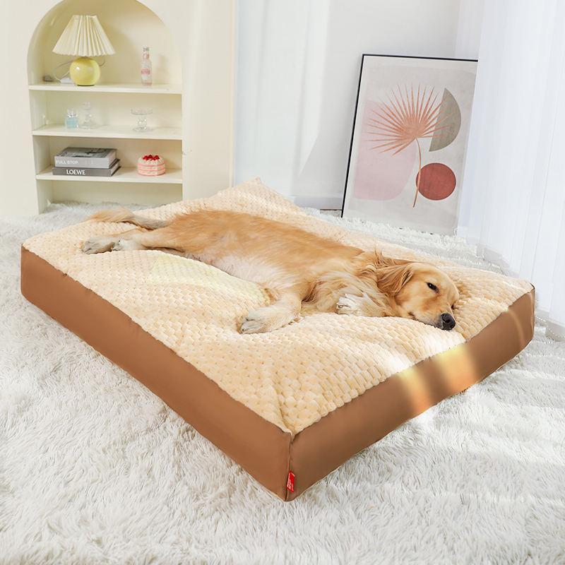 Comfortable dog bed on a plush white rug in a modern, airy room with minimalist decor, perfect for pet relaxation.