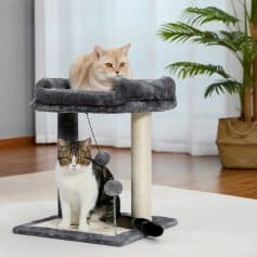 Fluffy cat resting on a grey cat tree with a scratching post, modern home interior with potted plant, ideal for pet lovers and cat care essentials.