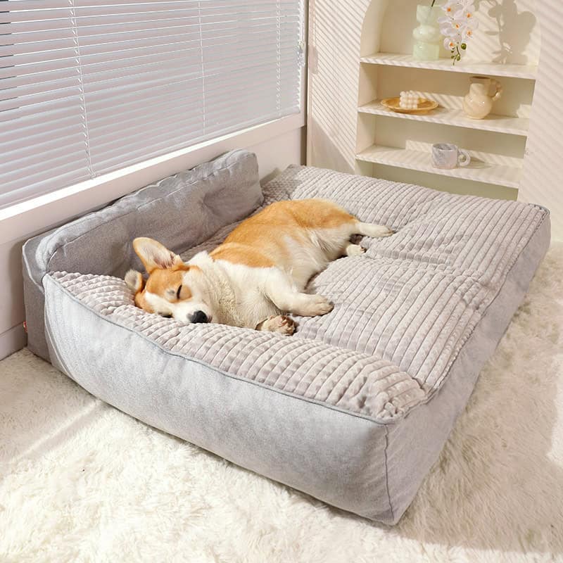 Cozy dog bed with a sleeping corgi on plush fabric, perfect for pet comfort and relaxation.