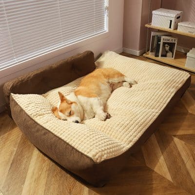 Fluffy dog relaxing on a beige and brown bed in a cozy room with window blinds and a bookshelf, emphasizing comfort and pet-friendly furniture for homes.