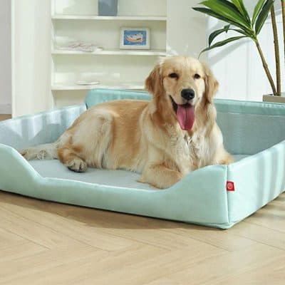 Golden retriever lying in a light blue pet bed indoors, smiling and happy, cozy and comfortable pet lounge for dogs and cats, Monalisa Store pet accessories, pet care products, and dog beds for comfort and relaxation.