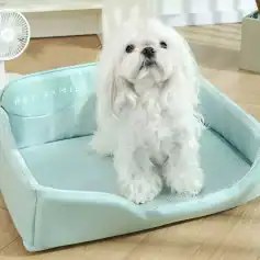 Cute white Maltese dog sitting on a pet bed at Monalisa Store, a popular pet accessories shop. Perfect for pet lovers seeking stylish and comfortable pet furniture.