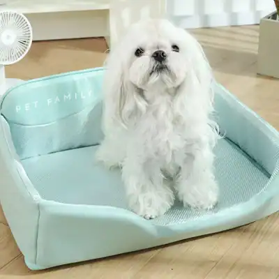 Cute white Maltese dog sitting on a pet bed at Monalisa Store, a popular pet accessories shop. Perfect for pet lovers seeking stylish and comfortable pet furniture.