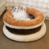 Fluffy white and gray cat lounging on a cozy multi-colored pet bed, ideal for relaxation and comfort. Perfect for pet lovers seeking stylish and comfortable cat beds from Monalisa Medical Store.