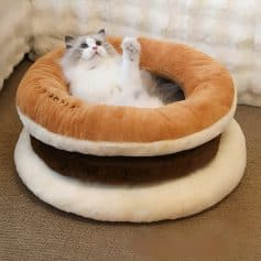 Fluffy white and gray cat lounging on a cozy multi-colored pet bed, ideal for relaxation and comfort. Perfect for pet lovers seeking stylish and comfortable cat beds from Monalisa Medical Store.