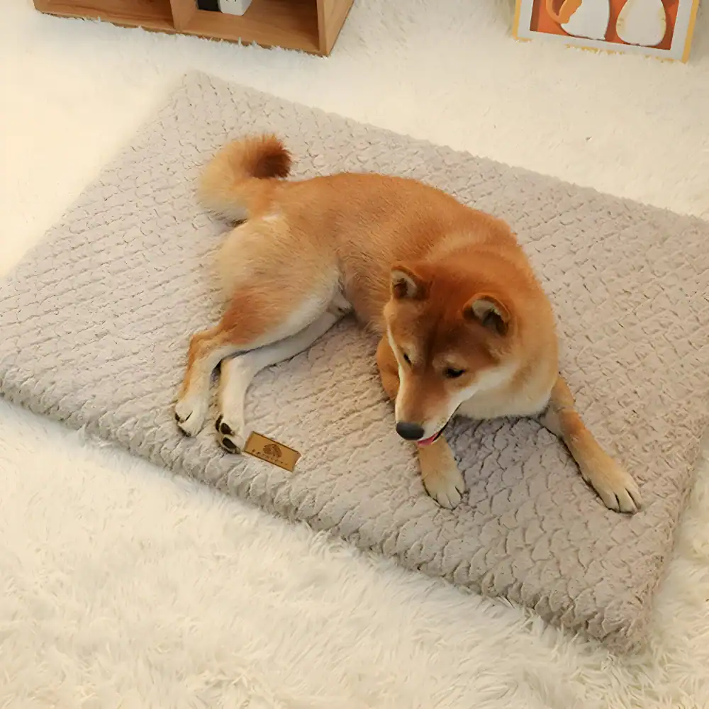 Shiba Inu puppy lying on a plush dog bed, showcasing cozy pet accessories at Monalisa Store for dog lovers.