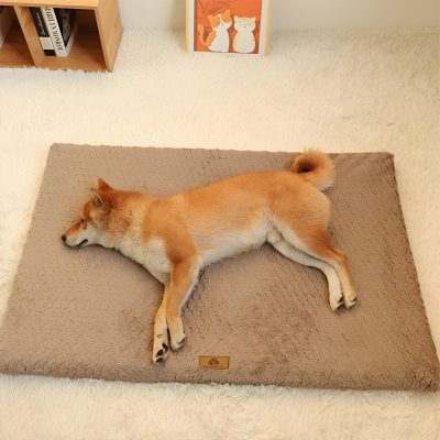 Shiba Inu dog lying peacefully on a plush beige pet bed inside a cozy room with decorative cat artwork and books in the background. Perfect for pet comfort and relaxation.