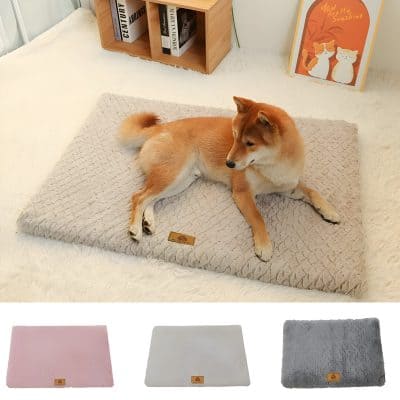 Soft beige pet bed with plush texture and raised edges, perfect for dogs and cats to rest comfortably. Features a small luxury leather patch for added style, ideal for cozy indoor spaces.