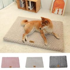 Soft plush dog bed on a cozy white rug, perfect for small pets like Shiba Inu, with available color options in pink, gray, and beige for pet comfort and style.