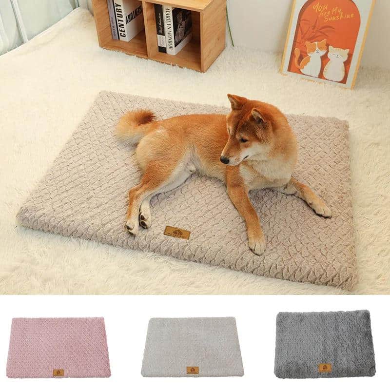Soft plush dog bed on a cozy white rug, perfect for small pets like Shiba Inu, with available color options in pink, gray, and beige for pet comfort and style.