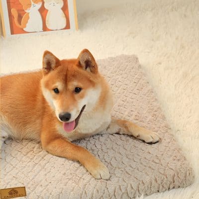 Fluffy dog bed with Shiba Inu dog, comfortable pet accessories, plush pet cushion for small dogs, cozy dog bed for pets, Monalisa Store pet products.
