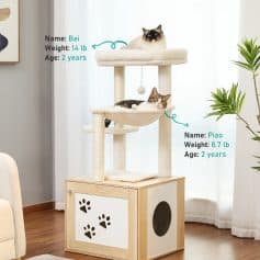 14 lb cat tree with cozy platforms for adult cats, featuring cute paw print design, ideal for providing exercise, relaxation, and scratching needs for cats like Bai and Piao.