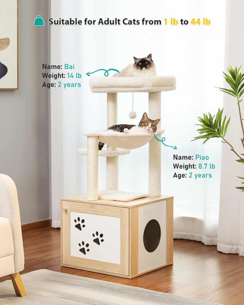 14 lb cat tree with cozy platforms for adult cats, featuring cute paw print design, ideal for providing exercise, relaxation, and scratching needs for cats like Bai and Piao.