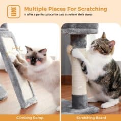 Fluffy cat playing with scratching post at Monalisa Store, cozy pet furniture, durable scratching boards, cat climbing ramps, premium cat accessories for stress relief and entertainment in top pet stores.