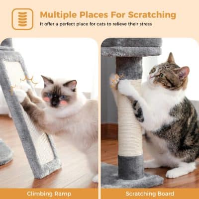 Fluffy cat playing with scratching post at Monalisa Store, cozy pet furniture, durable scratching boards, cat climbing ramps, premium cat accessories for stress relief and entertainment in top pet stores.