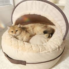 Luxurious cat bed with soft plush interior and stylish canopy, perfect for feline comfort and relaxation. Ideal for pet owners seeking quality cat furniture and cozy spaces for their cats.