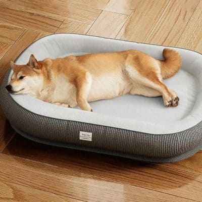 Comfortable dog bed with soft fabric and supportive cushioning for pets, ideal for small to medium-sized dogs, stylish and cozy, perfect for pet relaxation at Monalisa Store.