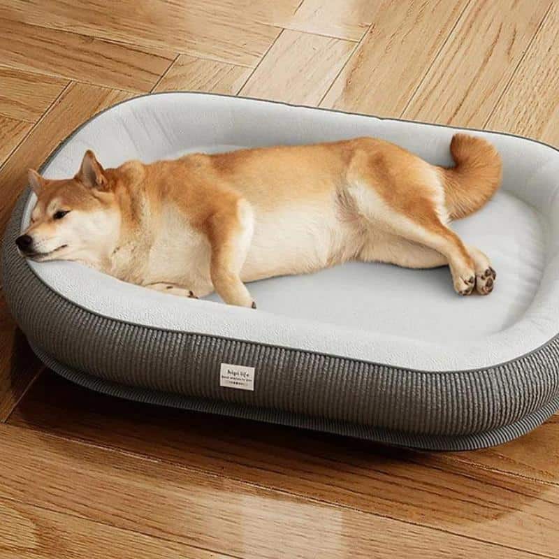 Comfortable dog bed with soft fabric and supportive cushioning for pets, ideal for small to medium-sized dogs, stylish and cozy, perfect for pet relaxation at Monalisa Store.