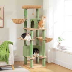 Bright green and beige multi-level cat tree with three cats lounging on different perches, in a cozy living room with natural light, showcasing high-quality pet furniture from Monalisa Medical.