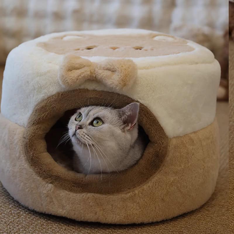 Cat sleeping in plush pet bed, cozy lounge for cats and small pets, Monalisa Store pet accessories, comfortable and stylish pet furniture, perfect for pet comfort and relaxation.