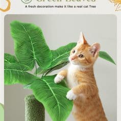 Green leafy plant with a playful orange kitten climbing and exploring, perfect for home decor and pet-friendly spaces.