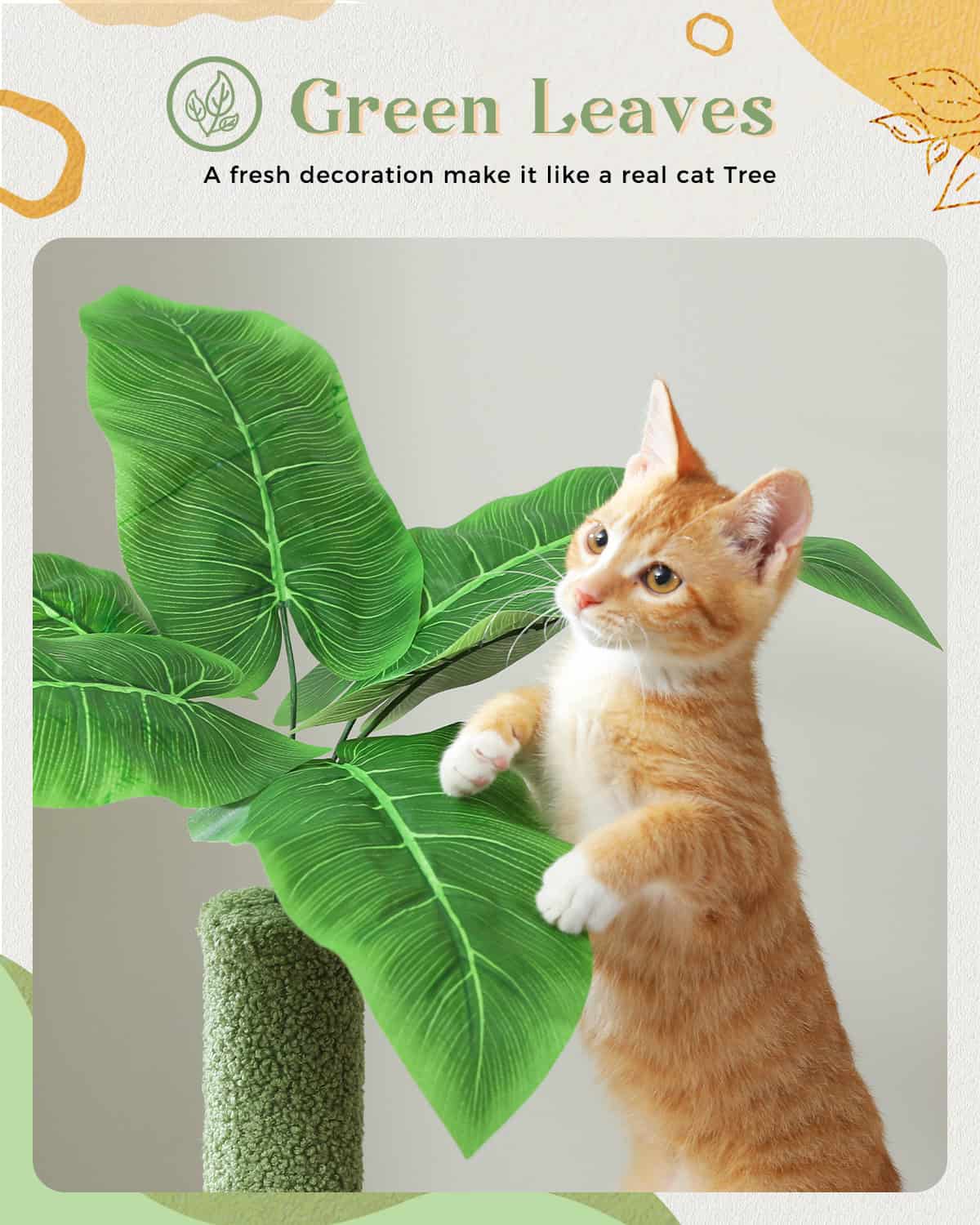 Green leafy plant with a playful orange kitten climbing and exploring, perfect for home decor and pet-friendly spaces.