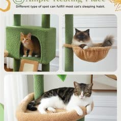 Fluffy cat scratching post with cozy hideouts and perches, ideal for feline relaxation and play, perfect for pet owners seeking durable, stylish cat furniture at Monalisa Medical.