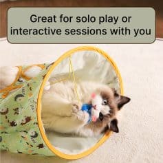 Soft fluffy cat playing with a toy inside a colorful tent, ideal for pet entertainment and interactive play, perfect for pet lovers and cat owners looking for engaging pet accessories.