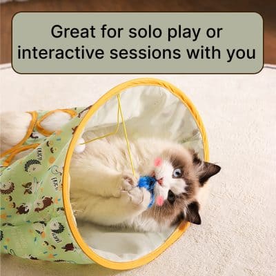 Soft fluffy cat playing with a toy inside a colorful tent, ideal for pet entertainment and interactive play, perfect for pet lovers and cat owners looking for engaging pet accessories.