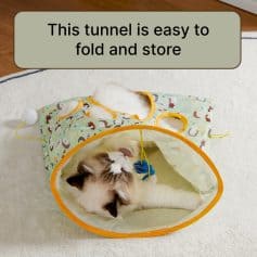 Soft fluffy cat playing with a toy inside a portable foldable tunnel, designed for pet entertainment and convenience.