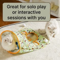 Fluffy white cat playing with colorful pet tent on soft rug, ideal for interactive play and solo activities, perfect for stimulating cats' mental and physical health.