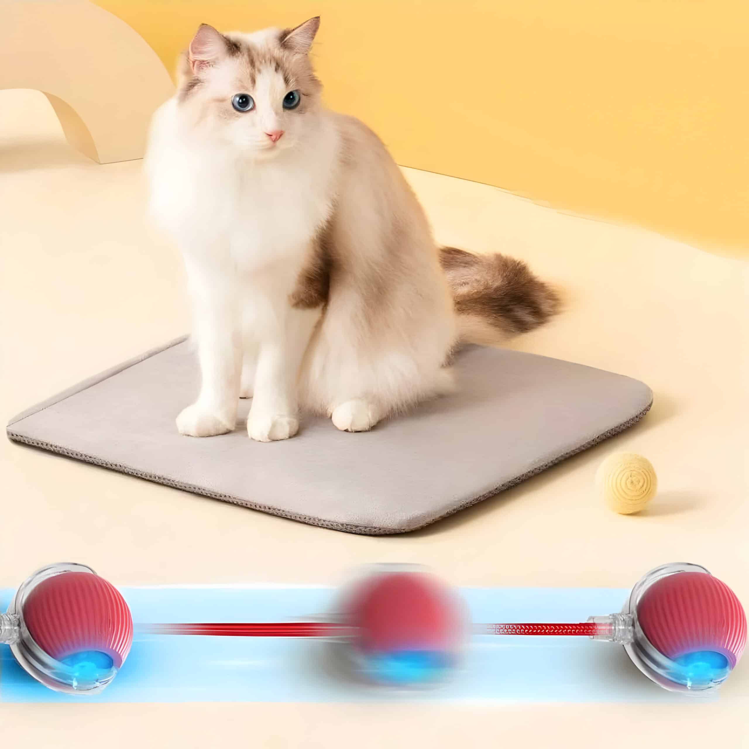 Fluffy white and gray cat sitting on a pet scale with a yellow background and toys around.
