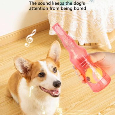 Playing with a dog using a pink spray bottle to keep the dog entertained and alert. The dog appears happy and engaged, making the pet care experience fun and interactive.