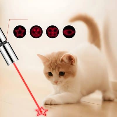 Red laser therapy device targeting a star-shaped mark with a curious kitten observing nearby.