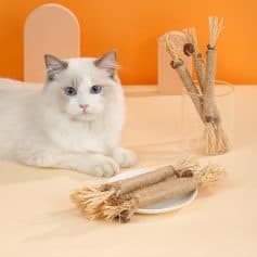 Wall pet scratching post and sisal cat toys for entertainment and exercise.