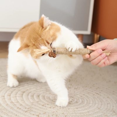 Cute orange and white kitten playing with a toy mouse, indoor pet cat enjoying fun activity. Perfect for pet lovers and cat care enthusiasts.