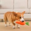 Dog with carrot chew toy, playful pet, indoor home setting, adorable corgi, cute dog toys, pet care accessories, lovable canine, Monalisa store opt, dog training and accessories, pet lifestyle images.