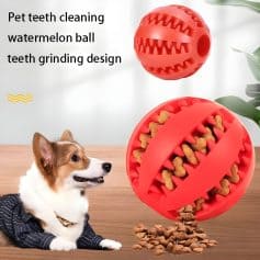 Pet teeth cleaning toy, watermallow ball with teeth grinding design for dogs, dental pet chew, interactive dog toy for oral health.