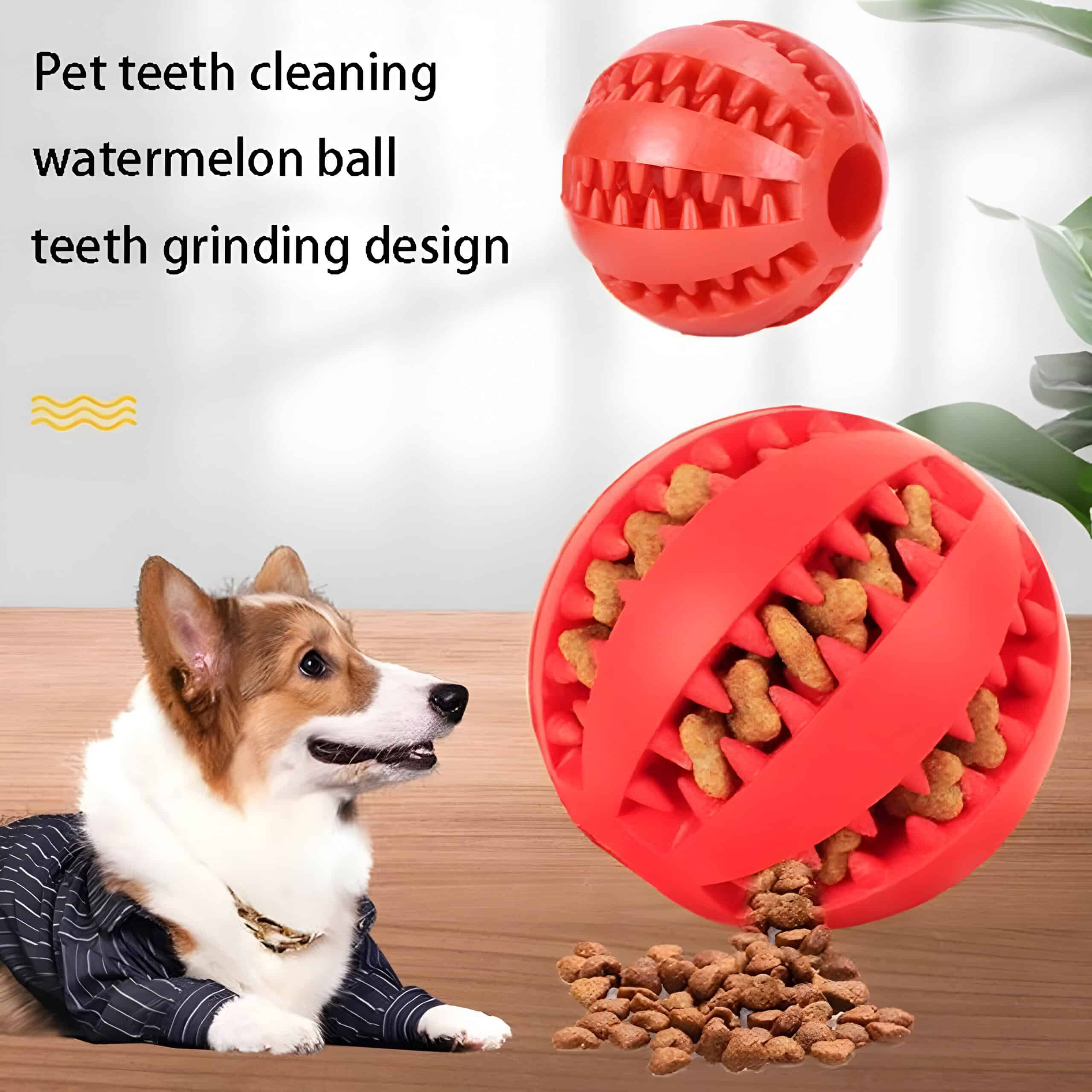 Pet teeth cleaning toy, watermallow ball with teeth grinding design for dogs, dental pet chew, interactive dog toy for oral health.