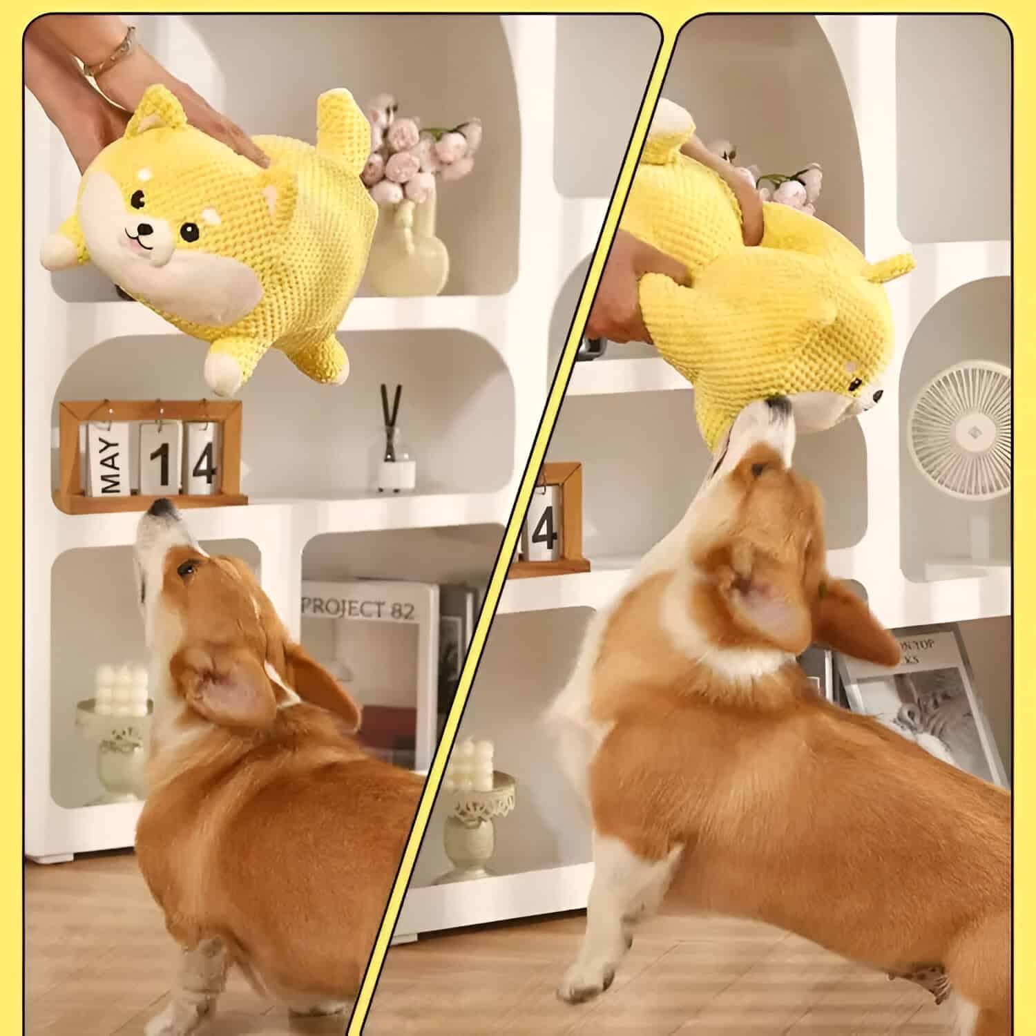 Cute corgi playing with a plush yellow toy in stylish home décor setting.