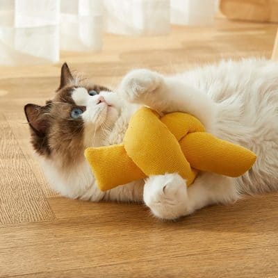 Fluffy cat playing with a yellow plush toy on wooden floor, showcasing pet comfort and playtime essentials for pet lovers.