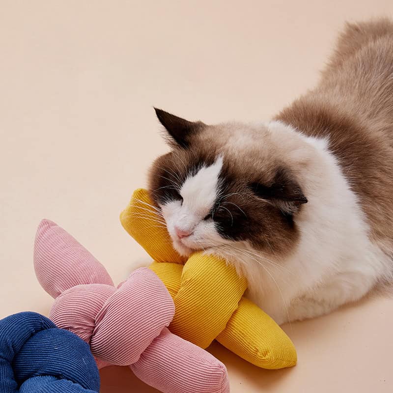 Relaxed cat sleeping on plush toys, beautifully styled for a cozy, comfortable vibe.