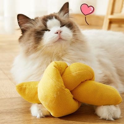 Fluffy cat with yellow plush toy and pink heart doodle, cozy home environment, pet comfort, adorable feline, Monalisa Medical store accessories.