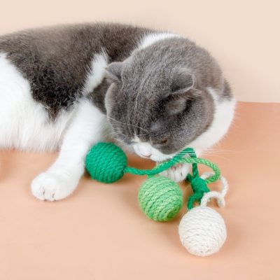 Adorable gray and white cat playing with colorful crocheted toy balls, perfect for pet entertainment and enrichment.