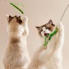 Fluffy cats playing with green toy, playful indoor cats, adorable pet cats, cute feline friends, Monalisa Medical cat toys, fun pet accessories, entertainment for cats, feline playtime, healthy pet activity, high-quality cat products.