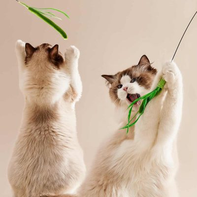 Artificial setaria herb cat toys for feline entertainment and exercise, featuring realistic green grass design, Perfect for stimulating cats' natural hunting instincts and play behavior.